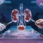 Kidney, Bladder, and Urinary Tract Tumor Surgery